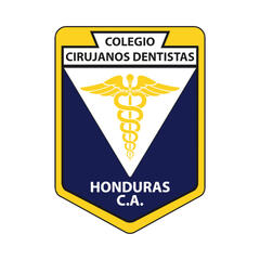 CCDH BADGE